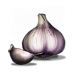 Icon 10 Blood Suckers