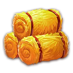 Icon 3 The Grand Rooster: Hold & Win