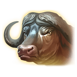 Icon 4 Mighty Africa