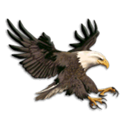 Icon 6 Shaman’s Dream