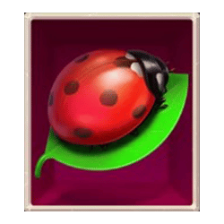 Icon 2 Lady Wolf Moon Megaways