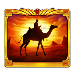 Icon 11 Pyramid King