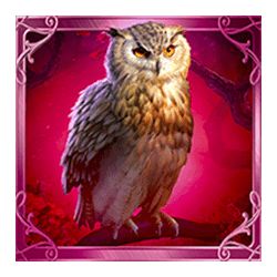 Icon 2 Timeless Rose