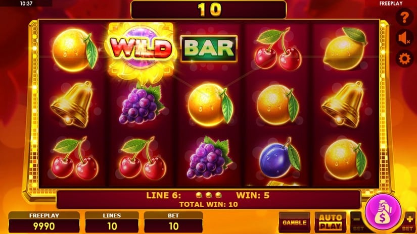 Book of Fruits 10 slot screen 3