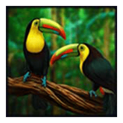 Icon 4 Amazon Lost Gold