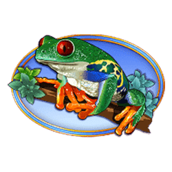 Icon 4 Congo Cash XL