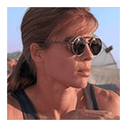Icon 6 Terminator 2