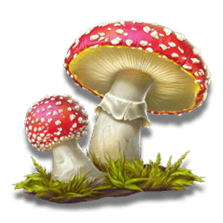 Icon 5 Wild Wild Riches