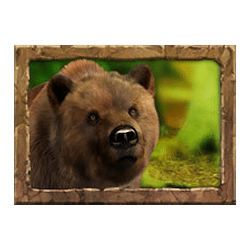 Icon 3 Jungle Spirit: Call of the Wild