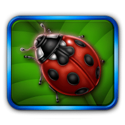 Icon 3 Lovely Lady X-Mas