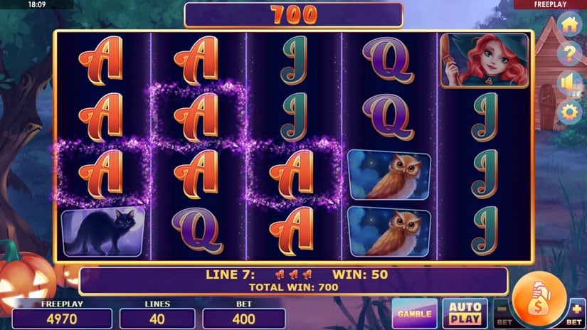 Wild Witches slot screen 4
