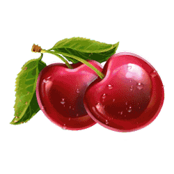 Icon 8 Surfin’ Joker