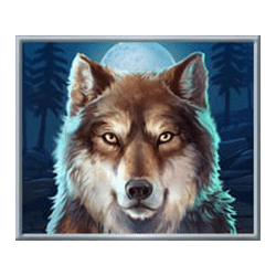 Icon 4 Bison Rising Reloaded Megaways