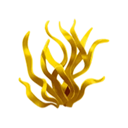 Icon 7 Fish n’ Fish