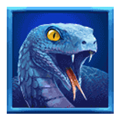 Icon 5 Jungle Reveal