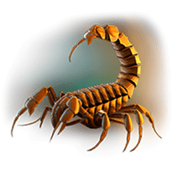 Icon 8 Joker Ra: Sunrise