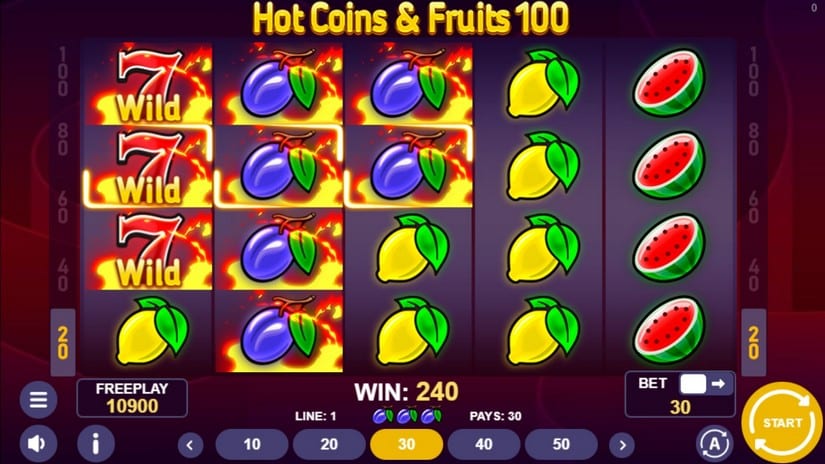 Hot Coins & Fruits 100 slot screen 3