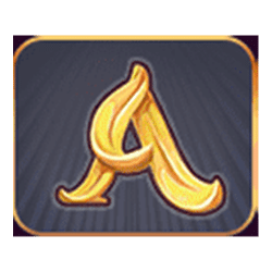 Icon 5 Year-Round Riches Clusterbuster