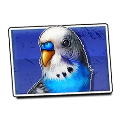 Icon 3 Dumb and Dumber Route to Riches