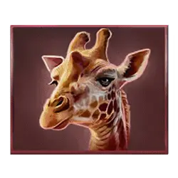 Icon 5 Savannah Pride