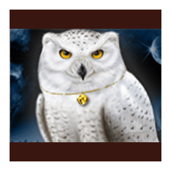 Icon 3 Magic Owl
