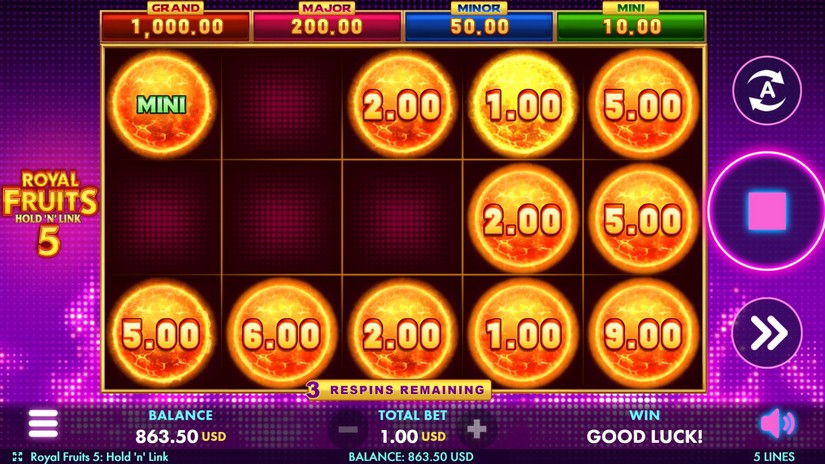 Royal Fruits 5 slot screen 4