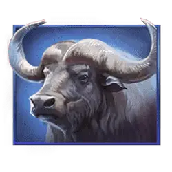 Icon 3 Savannah Pride