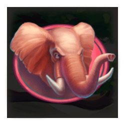 Icon 2 Safari Chase Hit ‘n’ Roll