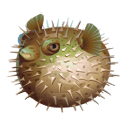 Icon 8 Dolphin Quest