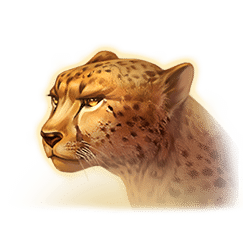 Icon 5 Mighty Africa