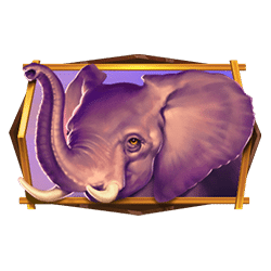 Icon 3 African Quest