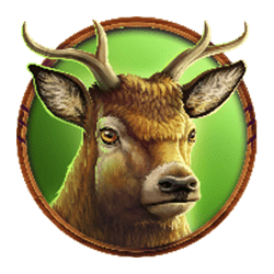 Icon 6 Stampeding Strike