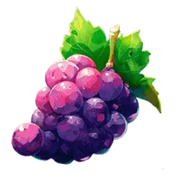 Icon 9 243 Fruity Zen