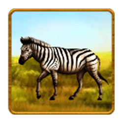 Icon 4 Savannah King