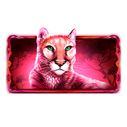 Icon 3 Buffaloes Duel