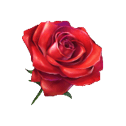 Icon 4 Power of Love