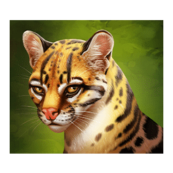 Icon 3 Panthers Reign