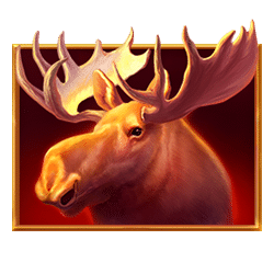 Icon 1 Wolf’s Moon