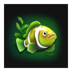 Icon 3 Dolphin Riches Hold and Win