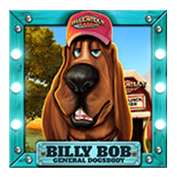 Icon 3 Hillbilly Vegas