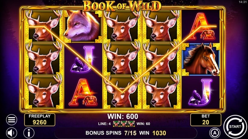 Book of Wild slot screen 6