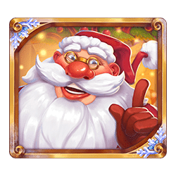 Icon 1 Wild Stocking