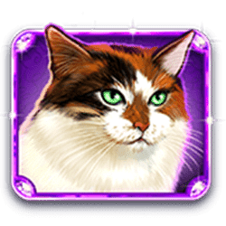 Icon 3 Kitty Glitter Grand