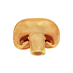 Icon 9 Sizzling Spins