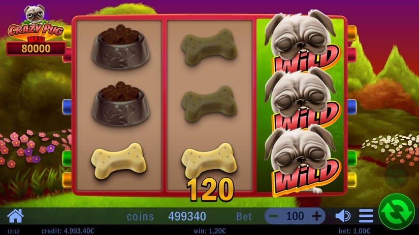 Crazy Pug slot screen 3