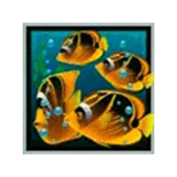 Icon 7 Dolphin’s Pearl