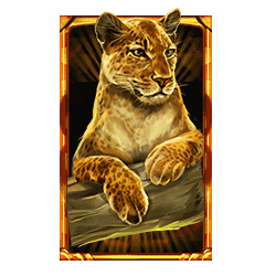 Icon 4 Wild Cats Multiline™