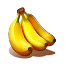 Icon 5 Forfune Monkey