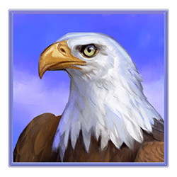 Icon 4 Savage Buffalo Spirit