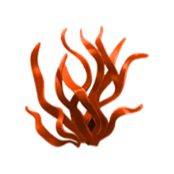 Icon 8 Fish n’ Fish